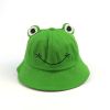 Children's Korean-Style Cute Frog Fisherman Hat Cotton Embroidered Sun Hat Warm Ear Protection Basin Hat