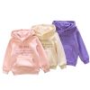 Baby Girl Embroidered Pattern Solid Color Fleece Hooded Sweatshirt